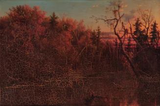 Dismal Swamp, Sunset