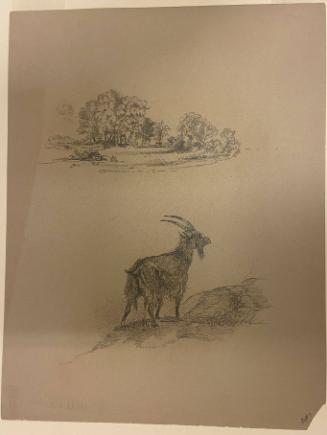 Studies of a Landscape and a Goat
