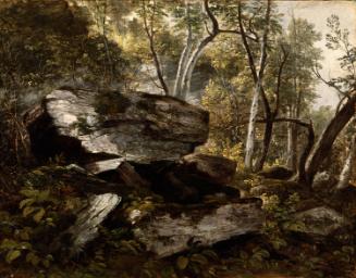 Study from Nature: Rocks and Trees