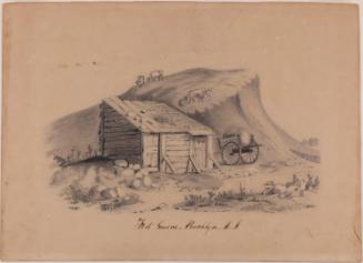 Landscape with Shed, Fort Greene, Brooklyn, New York