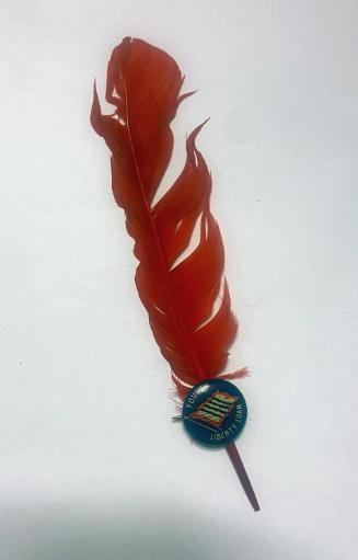 Pin-back button with feather