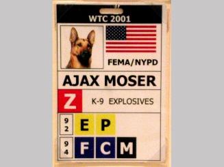 Identification badge for bomb-sniffing dog, Ajax Moser
