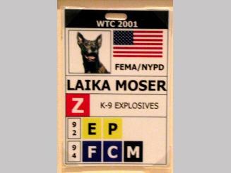 Identification Badge for bomb dog Laika Moser