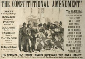 The Constitutional Amendment!
