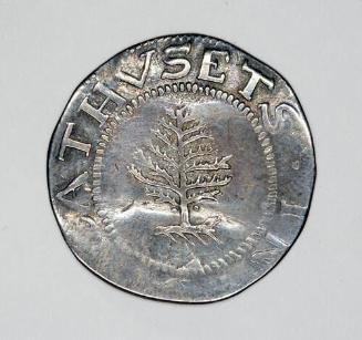 Pine tree shilling