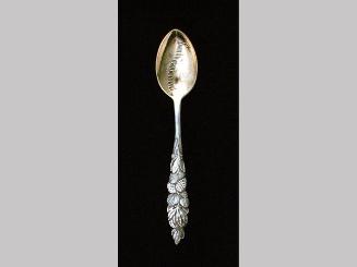 Souvenir spoon