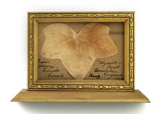 Ivy leaf from Jenny Lind's home