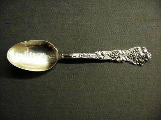 Souvenir spoon