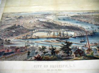 City of Brooklyn, LI, taken from Rush St., 1855