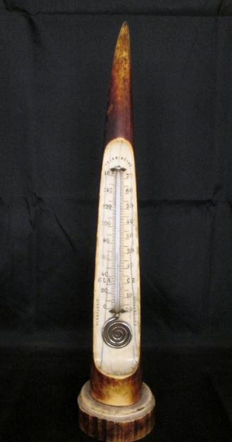Desk thermometer