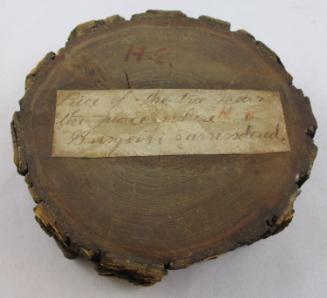 Fragment of wood from near spot where Burgoyne surrendered