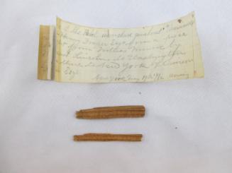 Wood fragments from the "Merrimac"