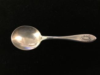 Consommé spoons (12)
