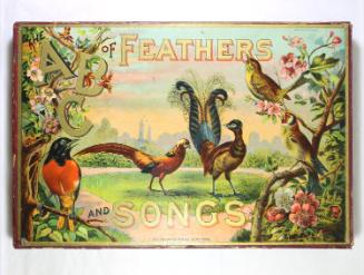 The ABC of Feathers and Songs