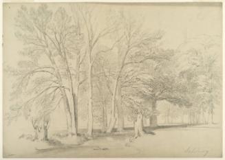 Trees by a Brook, Salisbury, Connecticut