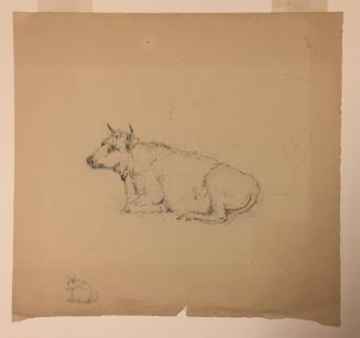 Studies of Cows; verso: studies of same