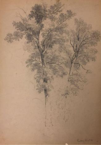 Study of Two Trees, Factory Point, Vermont