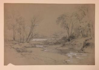 View of a Wooded Brook, West Campton, New Hampshire