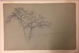 Study of Two Trees with Lake and Mountains, Hague, Lake George, New York