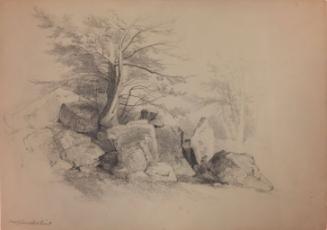 Study of Rocks and Trees, Verplanck's Point, New York