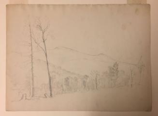 Sketch of Trees and Mountains