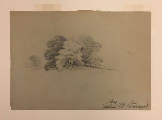 Study of a Clump of Trees; verso: sketches of two trees