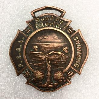 Sunday World Field Day medal