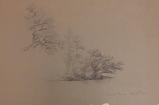 Study of Trees Along Shoreline, Mother Bunch Islands, Lake George New York