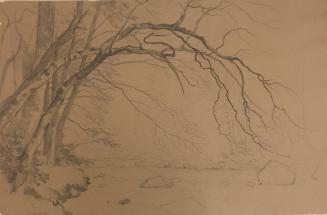 Study of Trees by a Brook, Scarsdale