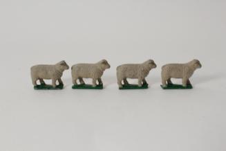 Sheep