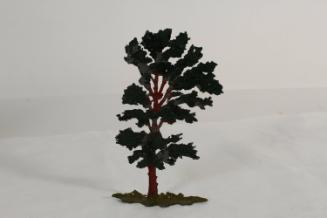 Elm tree 