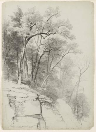 Study of Trees and Rocks, Catskill Clove, New York