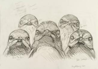 Gang of Warblers: Study for Audubon Mural Project at 601 West 162nd St.
