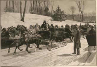 Sleighing in Central Park, New York City