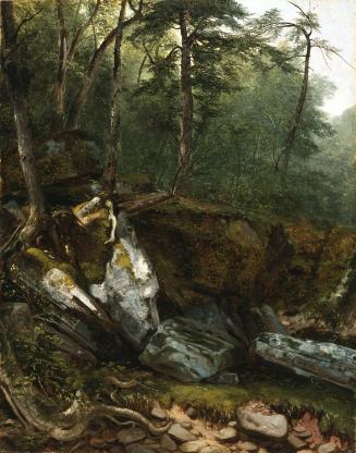 Study from Nature: Rocks and Trees in the Catskills, New York