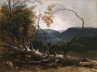 Study from Nature, Stratton Notch, Vermont