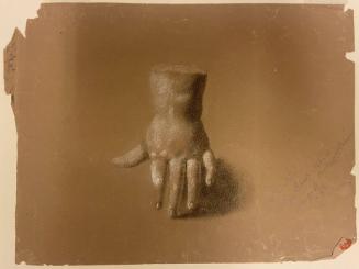 Study of a Cast of a Hand