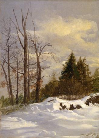Catskill Winter Landscape
