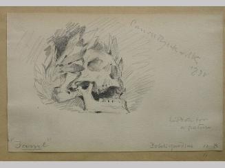 "Fame"; Study of a Skull Crowned with Laurel Leaves