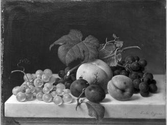 Still Life with Fruit on a Ledge