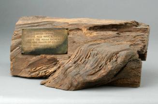 Piece of wood from the "Treaty Oak"