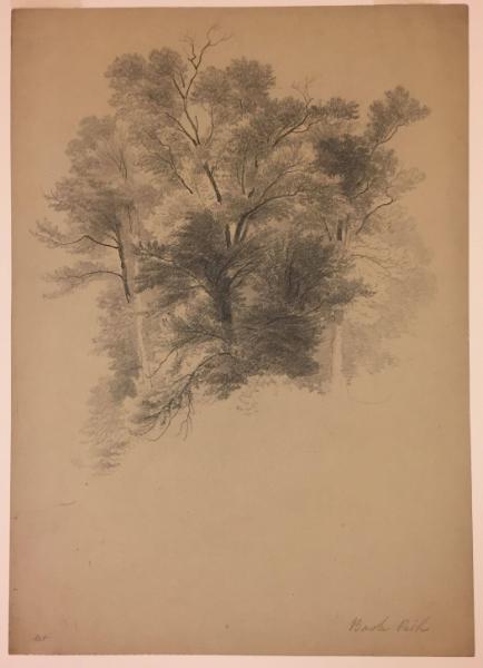 Study of Treetops, Bash Bish, South Egremont, Massachusetts