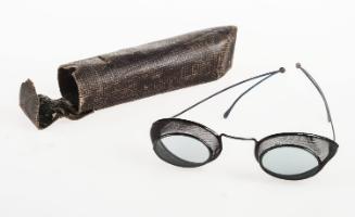 Protective spectacles and case