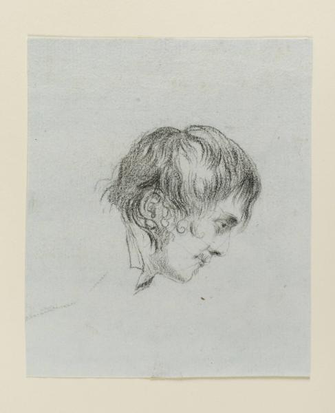Head of a Young Man in Profile, verso: sketch