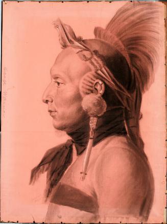 Unidentified Osage Warrior Wearing Bird Headdress
